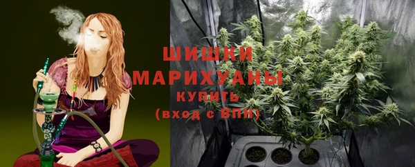 индика Сатка