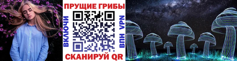 Галлюциногенные грибы Psilocybine cubensis  Лабытнанги 